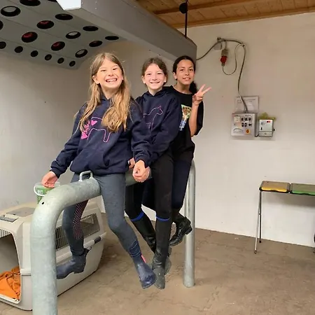 Ferienblockhaus 3 Hoelle Neudrossenfeld