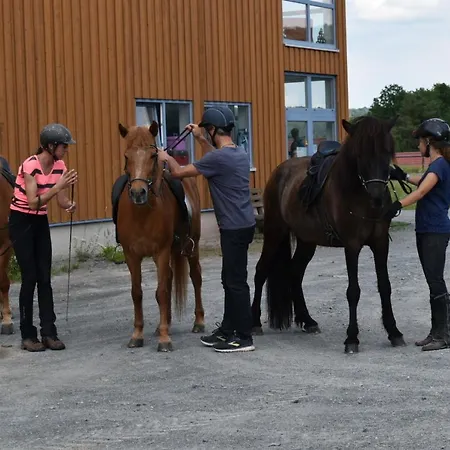 Ferienblockhaus 3 Hoelle Semesterbostad *